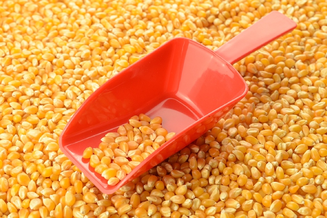 Snack Planning 101: A Guide to Bulk Popcorn Quantities